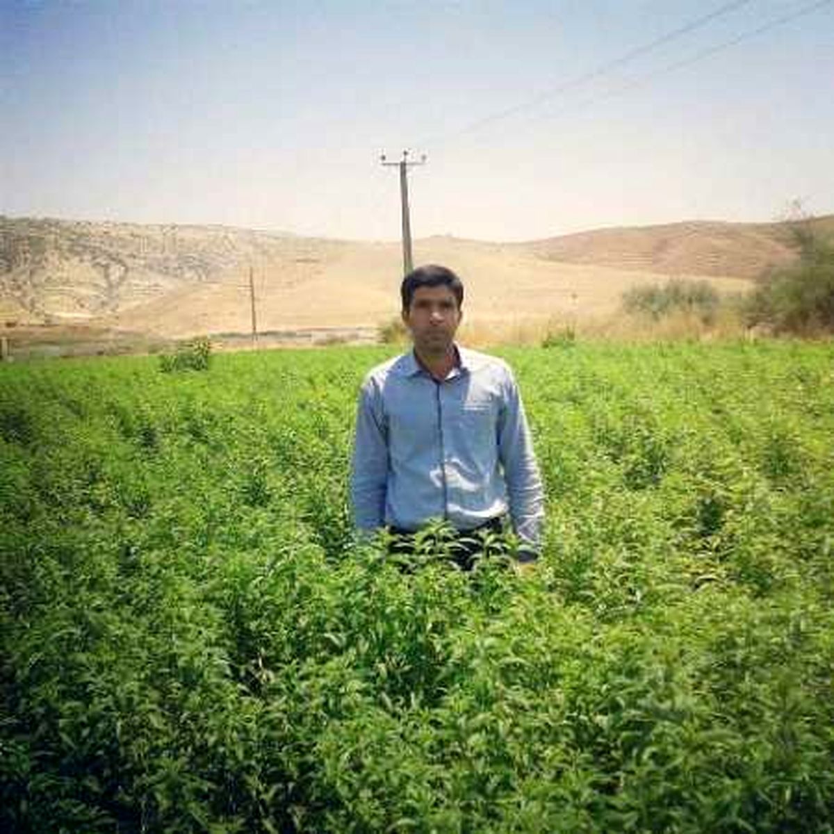 جوانی که علم را به ثروت تبدیل کرد