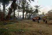 نخل های روستای سرریگ کهنوج طعمه آتش شد