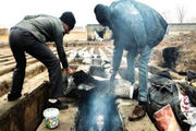 اطراف مدارس دوربین نصب می شود