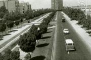 بلوار کشاورز، 60 سال پیش/ عکس
