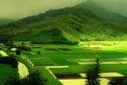 طرحی برای کیش و مات کردن زمین خواران