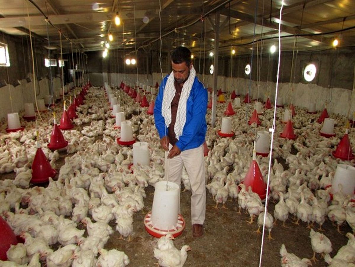 اقتصاد مقاومتی به سبک خانوادگی