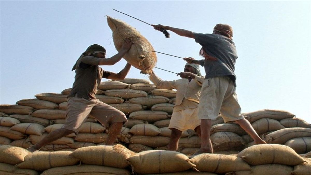 واردات برنج و چای هندی ممنوع شد؟

