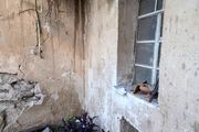 خسارات زلزله در روستاهای مسجدسلیمان/ گزارش تصویری