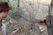 بی تدبیری در برخورد بامحیط زیست