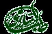 طب اسلامی چیست و از چه منابعی به دست آمده است؟

