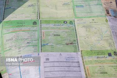 61478788_Erfan-Khoshkhoo-6781