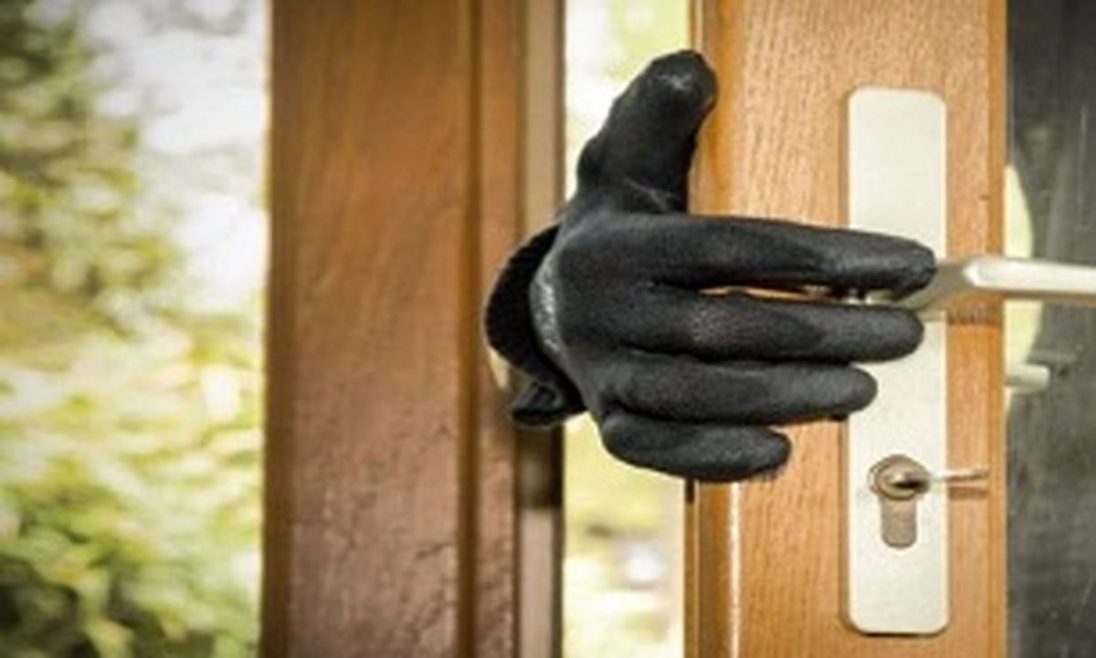  کاهش ۵ درصدی وقوع سرقت در سراسر کشور