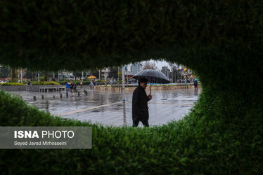 62883172_Javad-Mirhosseini-6463