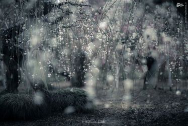 resized_1541403_146