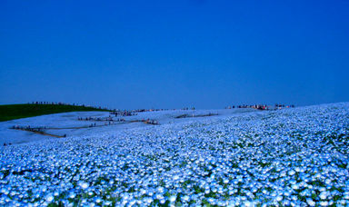 n00096731-r-b-001