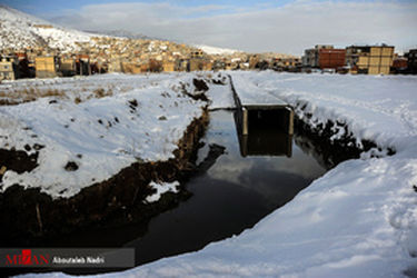 thm_1020486_799