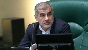 توضیحات رئیس هیات نظارت بر رفتار نمایندگان درباره شکایت قالیباف از نوباوه