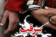 
دستگیری سارقان طلاهای افراد کهنسال در کاشان
