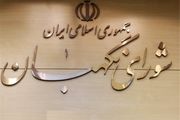 شورای نگهبان در مقابل فشارها برای تصویب لایحه «پالرمو» بایستد