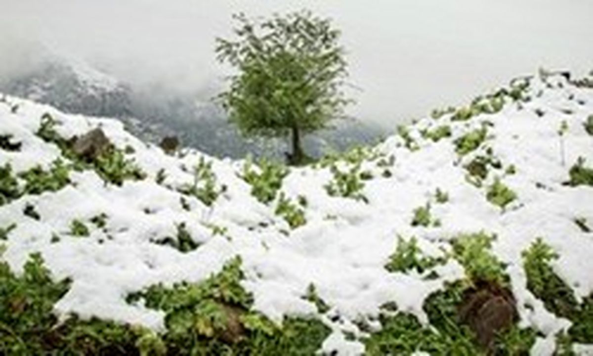 بارش شدید برف در هفته آینده؛ این مناطق را سفیدپوش خواهد کرد