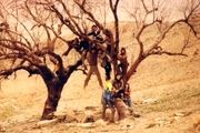 حضور مستند پگاه آهنگرانی در ۴ جشنواره خارجی