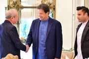 اعلام آمادگی سرمایهگذار مصری برای ساخت ۵ میلیون خانه در پاکستان