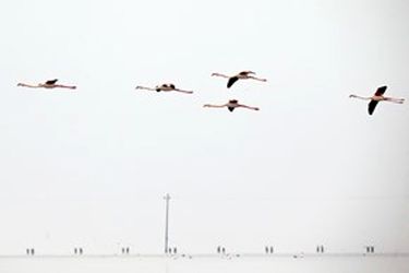 13951214001167636242323832256235_28614_PhotoU