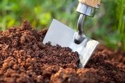 راهکار صحیح برای کود دهی گیاهان را بدانید
