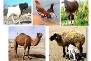جایگزین شدن داروها و مکمل‌های بومی با نمونه وارداتی در حوزه طیور و دام