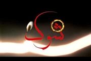 پرونده های جذاب پلیسی در 