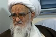 آیت الله صافی گلپایگانی: اسلام در همه رشته‌ها ، برنامه‌های  راهگشا دارد 