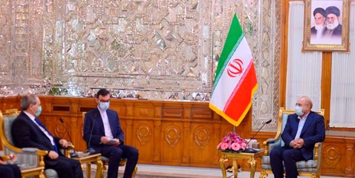 دیدار وزیر خارجه سوریه با رئیس مجلس