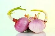 با پیازی که جوانه زده باید چه کرد؟