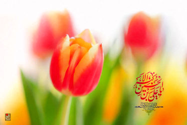 ولادت حضرت علی‌اکبر(ع)