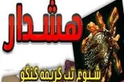 آخرین وضعیت شیوع تب کریمه کنگو