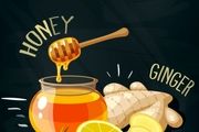 هانی ژل و نقش تغذیه در سیستم ایمنی بدن

