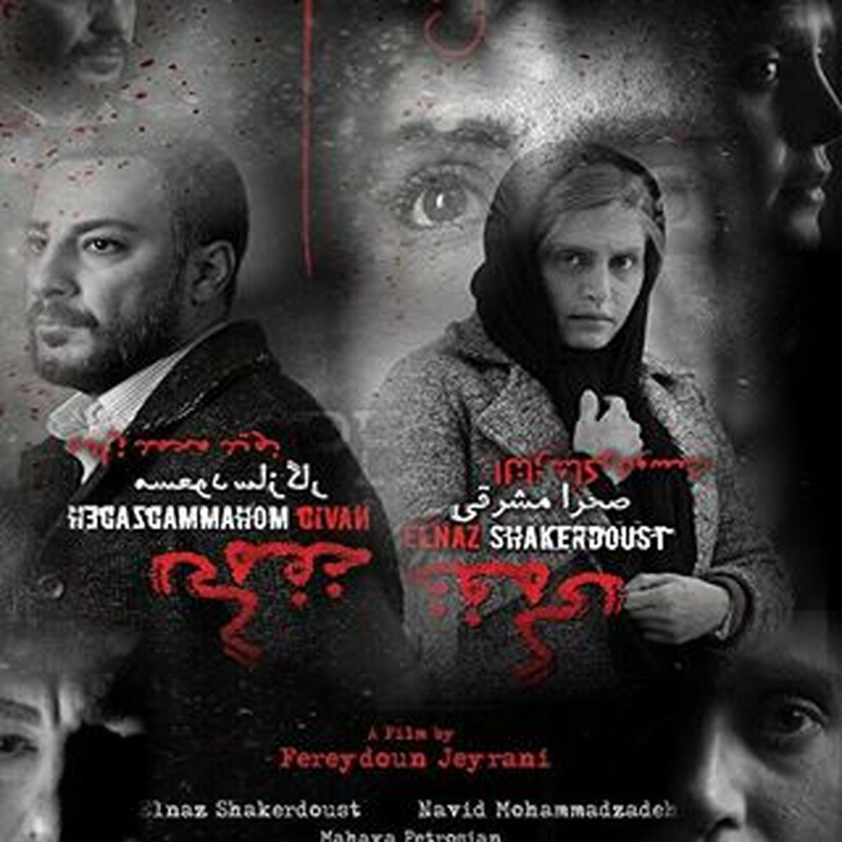 اکران فیلم‌های جدید در سینما/ "خفه گی" به جای "نگار"
