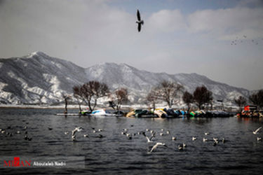 thm_1020473_839