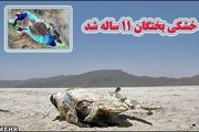 ۱۱ سال از خشکی بختگان گذشت