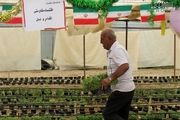 اقتصاد مقاومتی شعار نیست، اراده میخواهد!