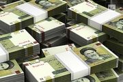 کاهش ۸۰ درصدی ارزش پول ملی در مدت دو هفته