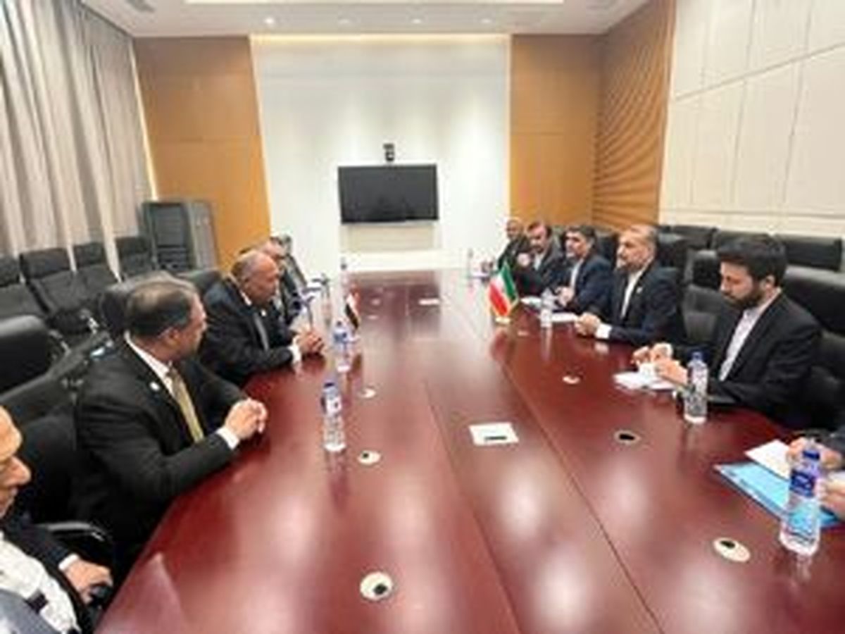 بیانیه وزارت خارجه مصر درباره دیدار شکری و امیرعبداللهیان
