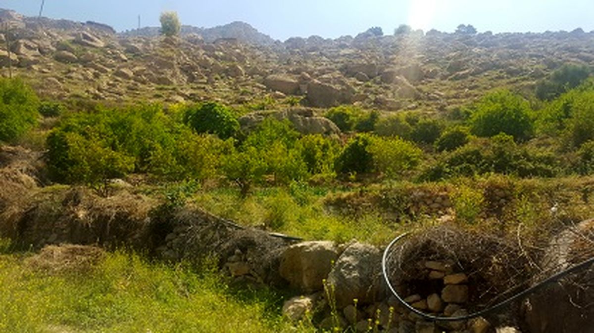  نیمدور، روستای سنگ ها و چشمه ها بازمانده ای از قافله توسعه