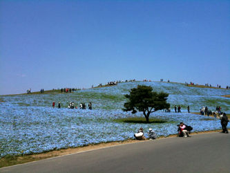 n00096731-r-b-012