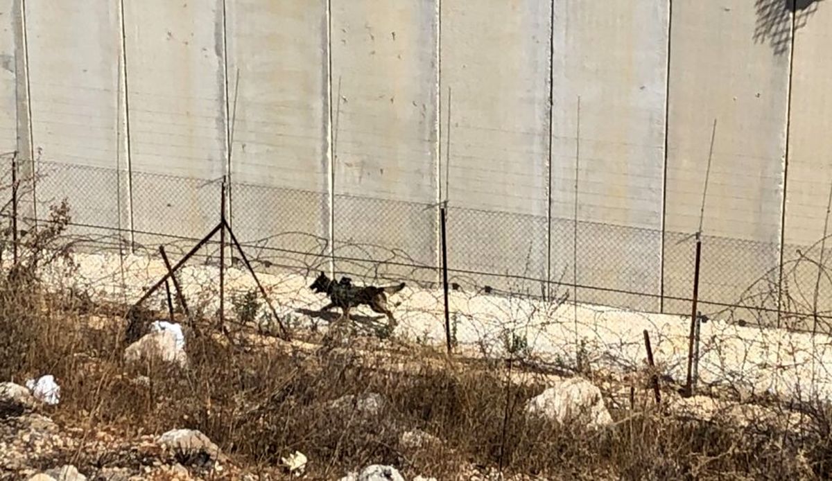نصب حصار آهنی در مرز میان فلسطین اشغالی و لبنان
