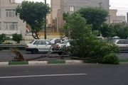 فوتی‌های طوفان در تهران به ۹ نفر افزایش یافت