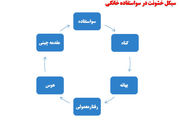خشونت‌ و سوء استفاده‌های خانگی چیست؟