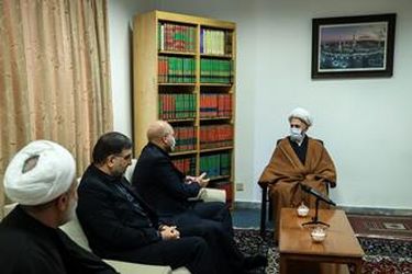دیدار رئیس مجلس شورای اسلامی با مراجع عظام تقلید در قم/گزارش تصویری
