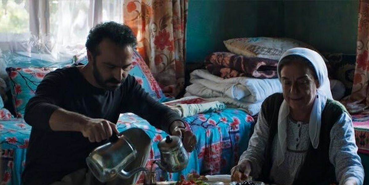 «درخت خاموش» بهترین فیلم جشنواره نیویورک شد