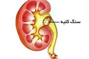 کلیه سالم در رژیم غذایی صحیح