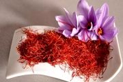 پیش بینی برداشت 7 تن طلای سرخ از مزارع فاروج