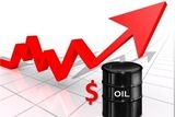 نفت به پرواز در آمد/ بازار نفت بلاتکلیف ماند