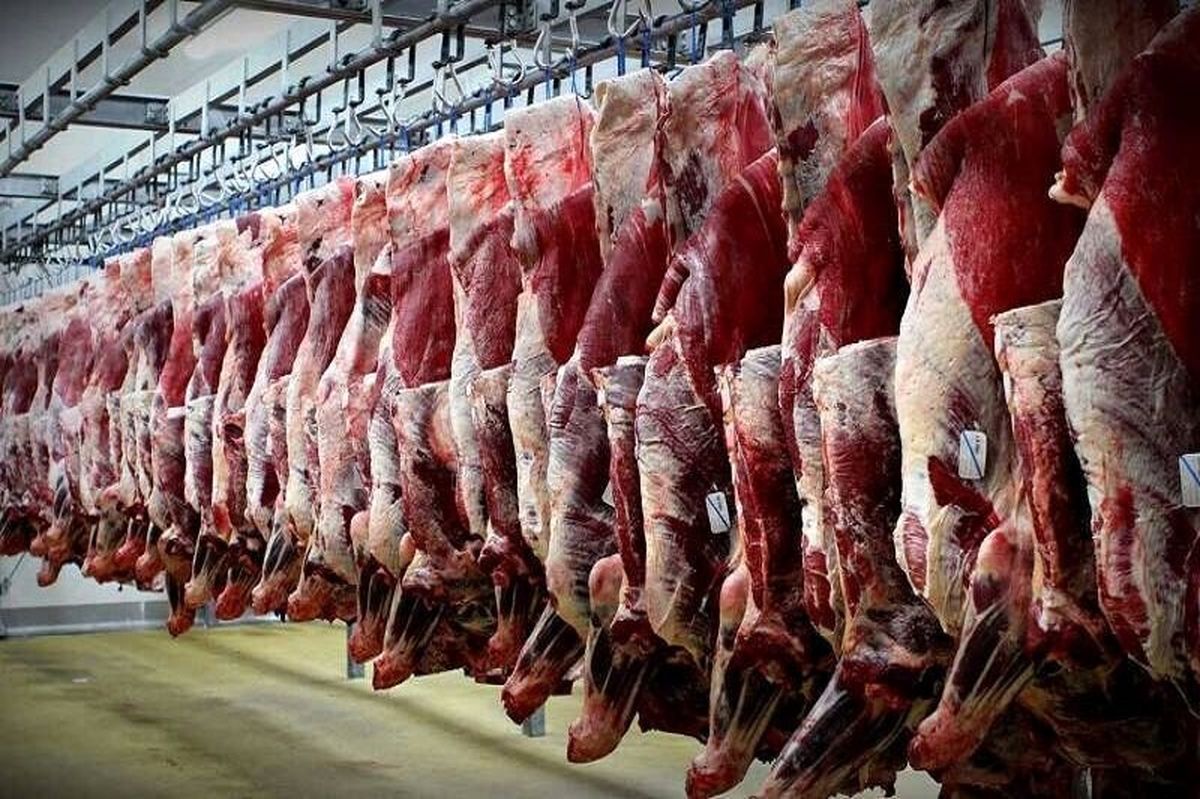 خبر فوری از قیمت دام زنده/ گوشت نخرید