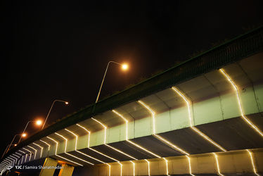 12305228_371